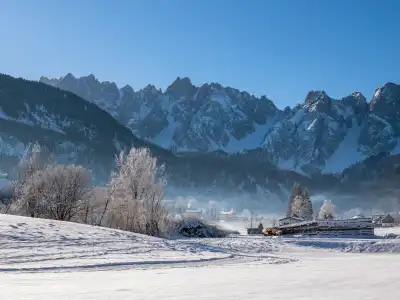 Alternative image text