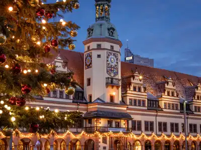 Alternative image text